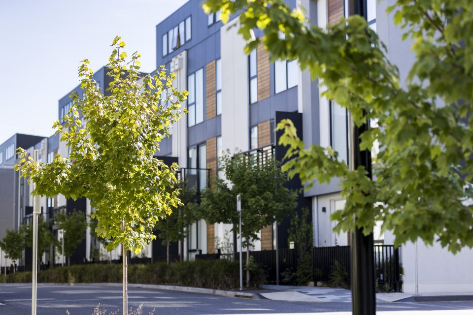 Common gardens areas of townhouse body corporate in Melbourne Common gardens areas of townhouse body corporate in Melbourne